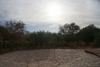 
DSC00443